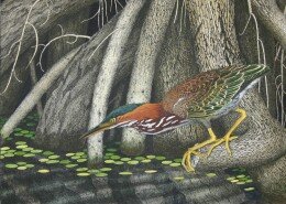 John Furches, NC Printmaker, creates etchings and aqua-tints from hand drawn zinc plates to reveal the connection of color and nature in rural landscapes.